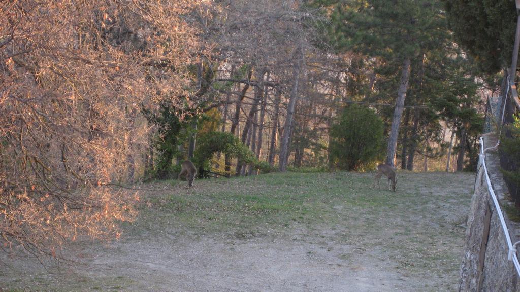 Hotel La Torre Ai Mari Sarteano Zewnętrze zdjęcie